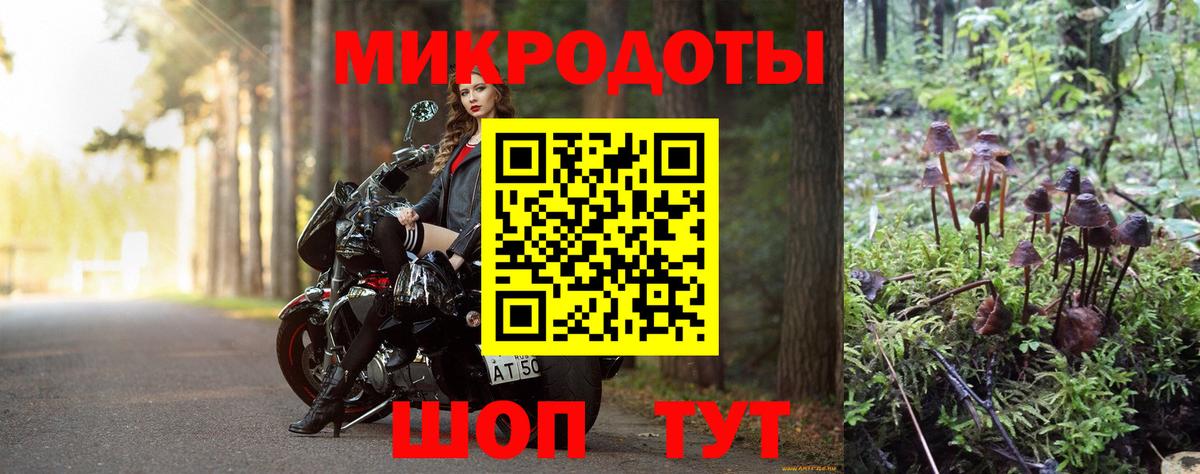 Галлюциногенные грибы Psilocybe Белово