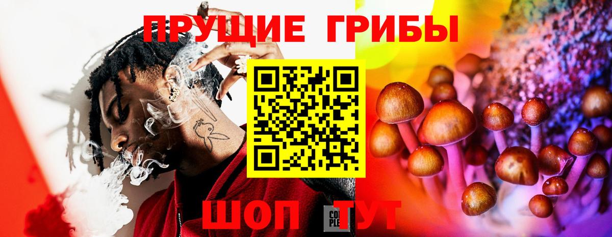 Псилоцибиновые грибы ЛСД  Псилоцибиновые грибы ЛСД  Вход с VPN  Белово 